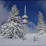 за гости 4а26 планинска магия Grand Monastery Apartment Pamporovo