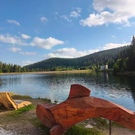 за гости 4а26 планинска магия Grand Monastery Pamporovo