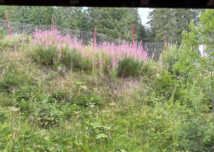 דירה за гости 4а26 планинска магия Grand Monastery *