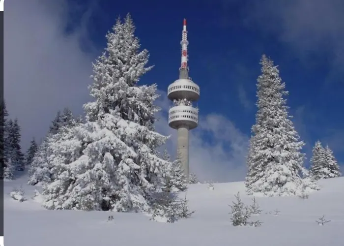 за гости 4а26 планинска магия Grand Monastery דירה פמפורובו