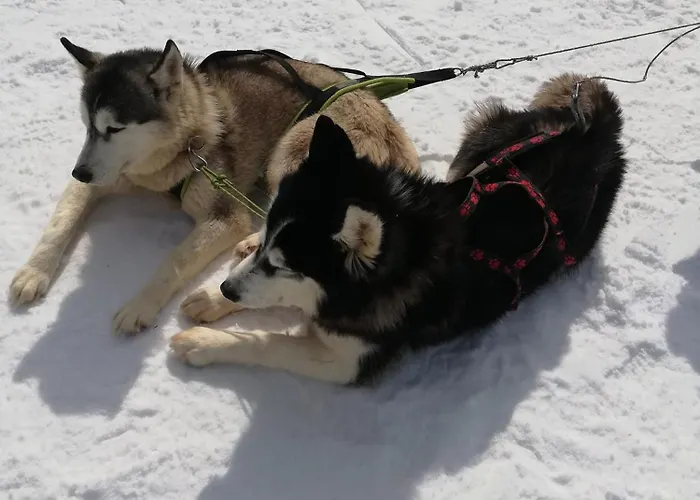 דירה за гости 4а26 планинска магия Grand Monastery פמפורובו